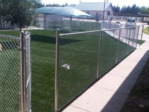 chain-link-dog-runs-spca-of-texas-1