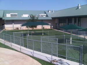 chain-link-dog-runs-spca-of-texas-2