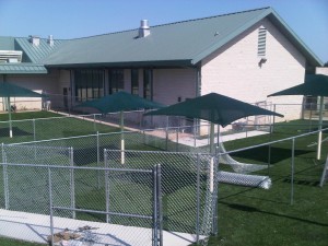 chain-link-dog-runs-spca-of-texas-3